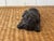 Ebony MCM Carved Ebony Pug For Sale - Image 8 of 12