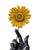 Golden Hour by Tanner Valant | Color pencil on paper Hand holding a sunflower. For Sale