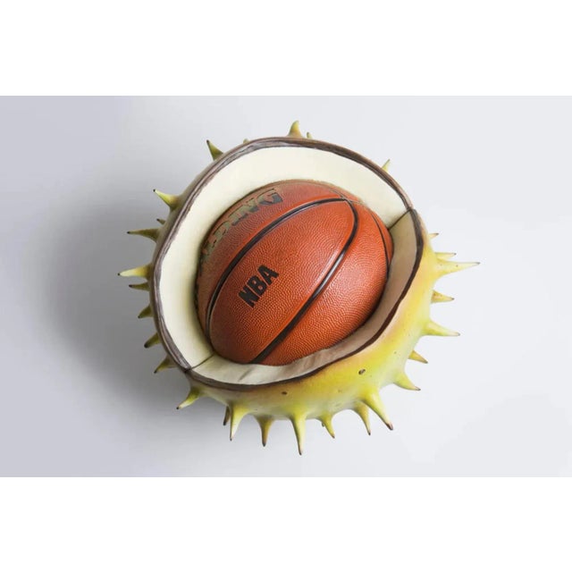 Divide and Conker Sculpture by Simon Shepherd, 2023 For Sale - Image 4 of 6