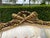 1970s French Louis XVI Tan Velvet Gilt Beech Settee For Sale - Image 4 of 17
