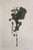 Set of 6 - One-of-a-Kind Dark Green Botanical Organic Modern Original Oil Paintings / Herbarium / Floral / Earth Tones For Sale - Image 4 of 11