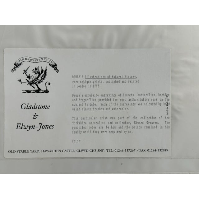 Antique Natural History Moth Art Print For Sale - Image 11 of 11