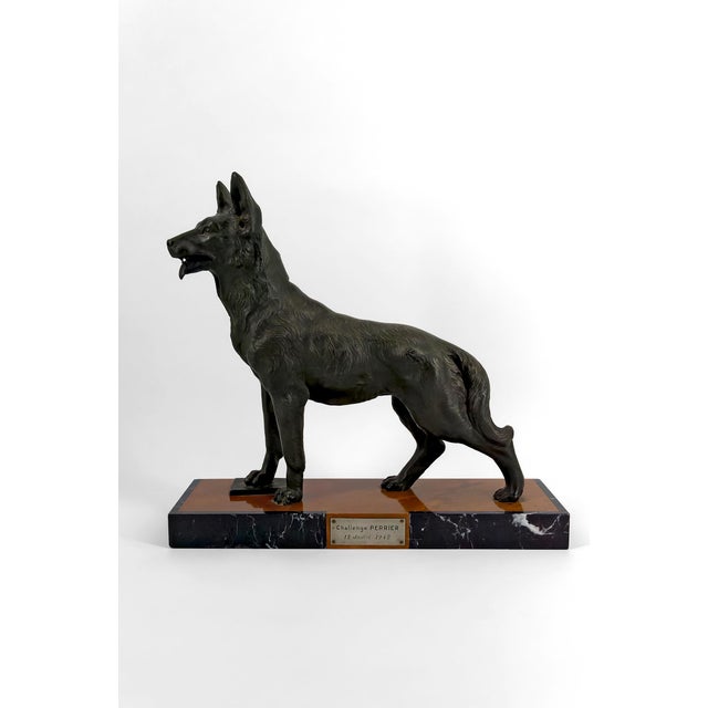 Important sculpture of a German Shepherd, Trophy for the Perrier Challenge, France, 1942. We are pleased to present an...