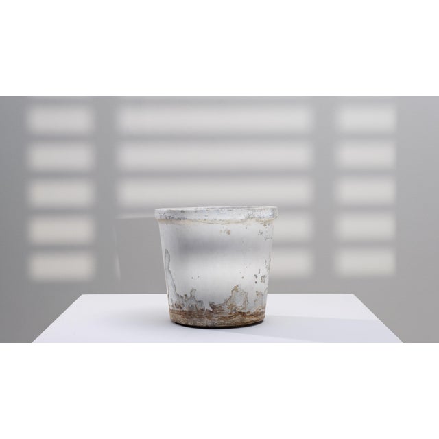 This 1960s French concrete planter features a classic cylindrical form accented by decades of natural weathering, giving...