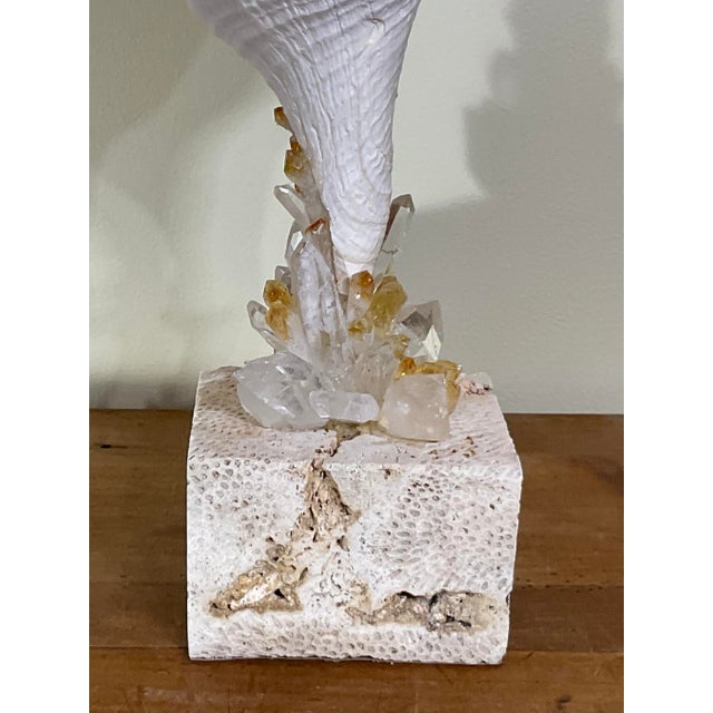 Contemporary Handcrafted Marine & Mineral Sculpture by Joseph Malekan For Sale - Image 3 of 15