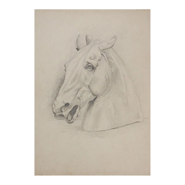 Antique Horse Carving Drawing Study For Sale