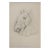 Antique Horse Carving Drawing Study For Sale