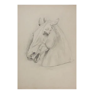 Antique Horse Carving Drawing Study
