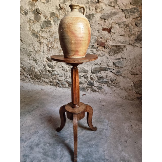 Antique Louis XVI Plant Stand in Walnut, 1900 For Sale - Image 13 of 18