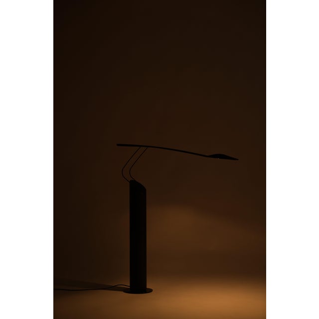 Metal Italian Dove Floor Lamp attributed to Mario Barbaglia & Marco Colombo for Italiana Luce, Italy, 1980s For Sale - Image 7 of 18
