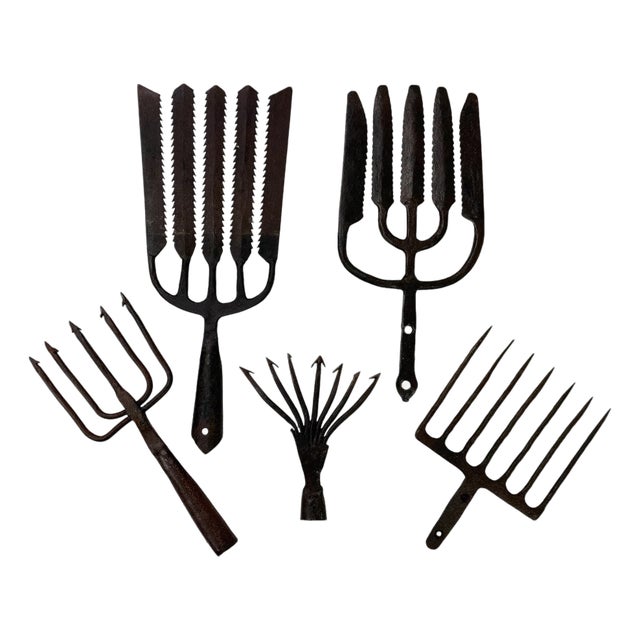 Antique Eel Fishing Spears in Wrought Iron, 1890s, Set of 5 For Sale