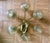 Mid 20th Century Danish Modern Brass and Glass Chandelier For Sale - Image 12 of 13