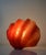 Vintage Sculptural Resin Shell Wall Sconce, 1970s For Sale - Image 9 of 18