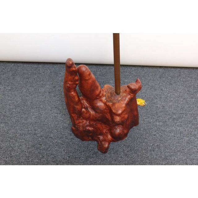 Wood Sculptural Driftwood and Brass Floor Lamp For Sale - Image 7 of 13