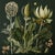 This fine art print reproduces a beautifully detailed 19th-century botanical illustration depicting an elegant arrangement...