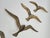 1970s Modernist Brass Wall Seagulls, 1960s, Set of 5 For Sale - Image 5 of 10