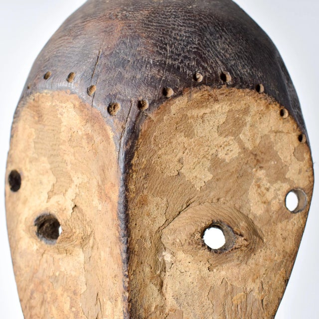 Lega masks, wooden and featuring elongated faces with a central ridge, almond-shaped eyes, and symbolic geometric...