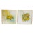 Signed Dorothy Malan Original Floral Still Life Paintings – Matched Pair | Michigan Artist | Vintage Impressionist Artwork | Gold & Wood Frames For Sale