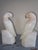 Shabby Chic Vintage Alabaster Parrot Bookends For Sale - Image 3 of 15