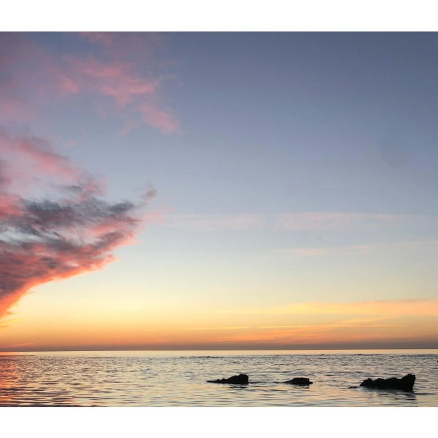 Roy Dagan "Schnauzer" Dog in Ocean Seascape Photograph, 2020 For Sale - Image 4 of 6