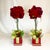 Art Nouveau Hollywood Regency Christmas Red Hydrangeas Topiary - A Pair For Sale - Image 6 of 11