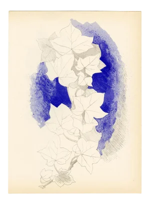 "Le Lierre Sur Fond Bleu" Georges Braque Litohgraph C. 1955