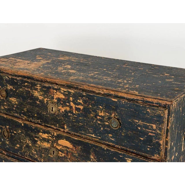 Swedish Gustavian Style Black Chest on Chest, 21st Century For Sale In New York - Image 6 of 11