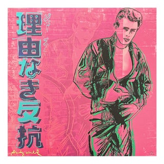 After Andy Warhol, James Dean Pink, 1980s, Print For Sale