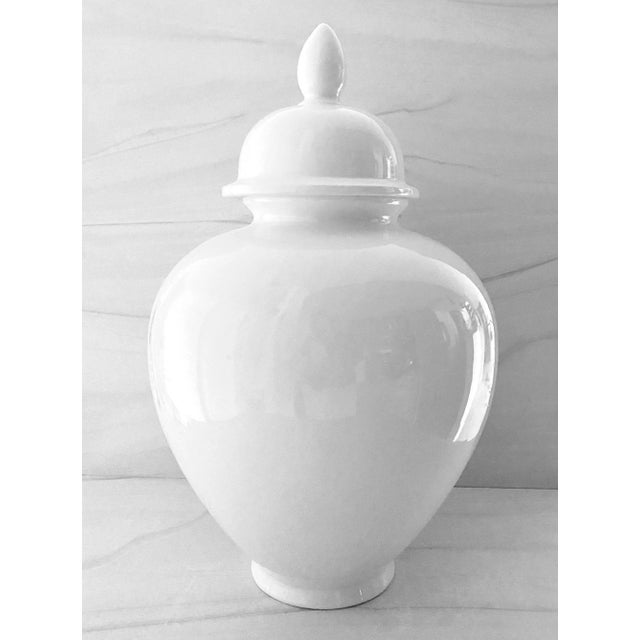 Traditional White Ginger Jar, Made in Italy for the Mane Lion For Sale - Image 3 of 3
