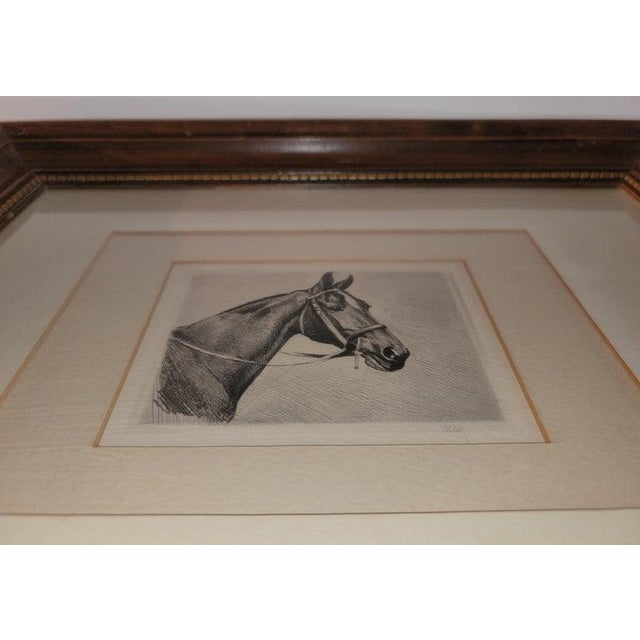 19th Century 19th C Signed Framed Horse Litho For Sale - Image 5 of 7