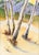 Four birch trees in a clearing by a California artist "R. Chandler" (230th Century). The white and grey birch trees pop...