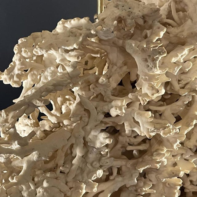 Red Hollywood Regency Coral Table Lamp in Gilded Bronze Base from Willy Daro, 1970s For Sale - Image 8 of 16