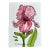 Giclee Print of Watercolor Ink and Wash Painting “Pink Iris” For Sale