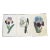 Royal Kew Gardens Botanical Lithographs of Bearded Tulips by Edwards, Set of 3 For Sale