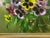 Traditional British Oil Painting Flowers Pansy's & Daisies by Elizabeth Bridge Ri Roi For Sale - Image 10 of 13
