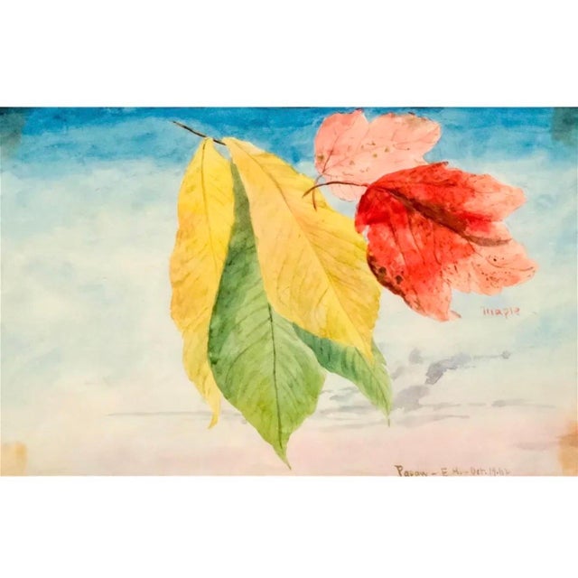 Charles De Wolf Brownell, Maple Leaves Watercolor Painting 19th C. American Artist Charles DeWolf Brownell, 1902 For Sale - Image 9 of 13