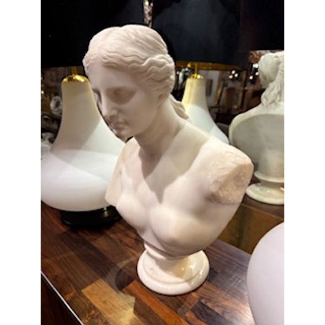 19th Century French Carved Bust of Diana For Sale - Image 4 of 6