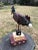 American Late 20th Century Wood Carved Rooster on Stand For Sale - Image 3 of 8