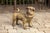 Vintage English Standing Pug Composition Sculpture with Glass Eyes and Collar For Sale - Image 9 of 12