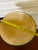 1980s Jozefina Krosno Polish Art Glass “Jellyfish” Pedestal Bowl, Attributed For Sale - Image 9 of 10