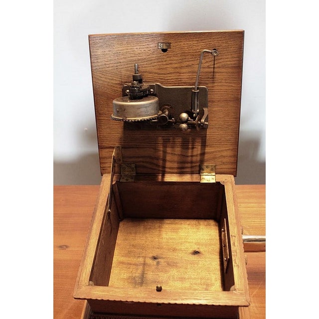 20th Century Horn Gramophone For Sale - Image 12 of 14