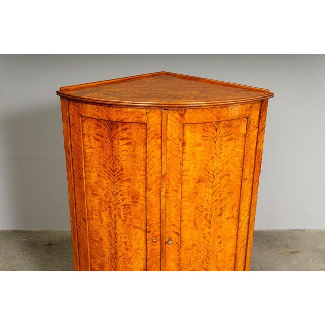Wood 19th Century Biedermeier Corner Cabinet in Birch For Sale - Image 7 of 18