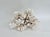 Chinoiserie Exceptional Natural Brown Stem Coral Specimen For Sale - Image 3 of 11