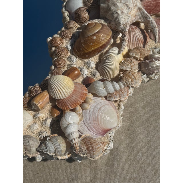 Beige Currey and Company Stunning Large Natural Seashell Framed Mirror For Sale - Image 8 of 12