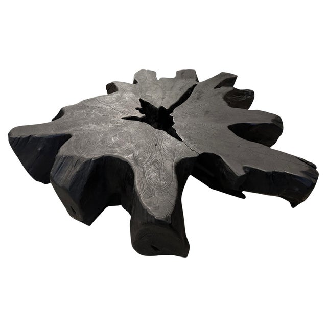 Impressive reclaimed teak root coffee table made from a single 16” thick root. Burnt, sanded and sealed revealing the...