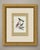 Purple-throated and swallow-tailed cotingas print after Descourtilz, taken from the 1944 Rio de Janeiro edition of the...