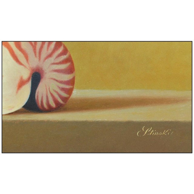 Realism Late 20th Century Nautili Still Life, Gerald Stinski For Sale - Image 3 of 4
