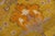 Vintage Arts and Crafts Style Golden Ochre Wool Rug With Stylized Floral Motif For Sale - Image 11 of 11