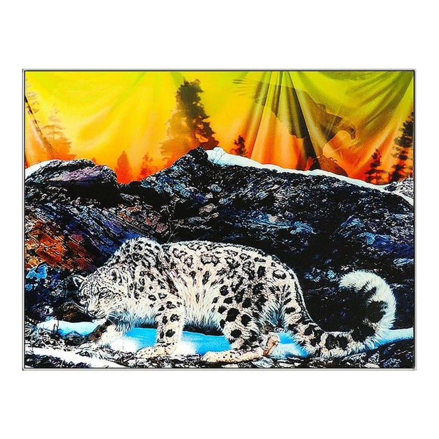 Late 20th Century The Wild Ones - Leopard, Adam Scott Rote For Sale