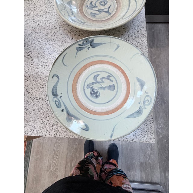 16th Century Late Ming Dynasty Zhangzhou Swatow Celadon Chargers - Set of 5 For Sale - Image 10 of 12
